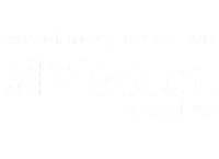 Visotec Socha